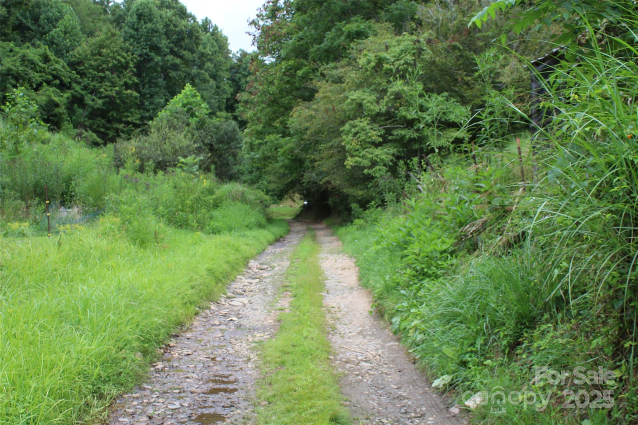 Lot 2 Cody Road Marshall, NC 28753 - Photo 1 of 10 a view of a pathway of a park