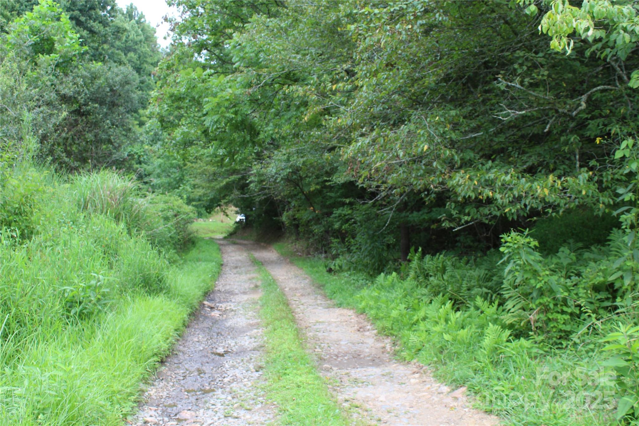 Lot 2 Cody Road Marshall, NC 28753 - Photo 2 of 10 a view of a pathway both side of yard