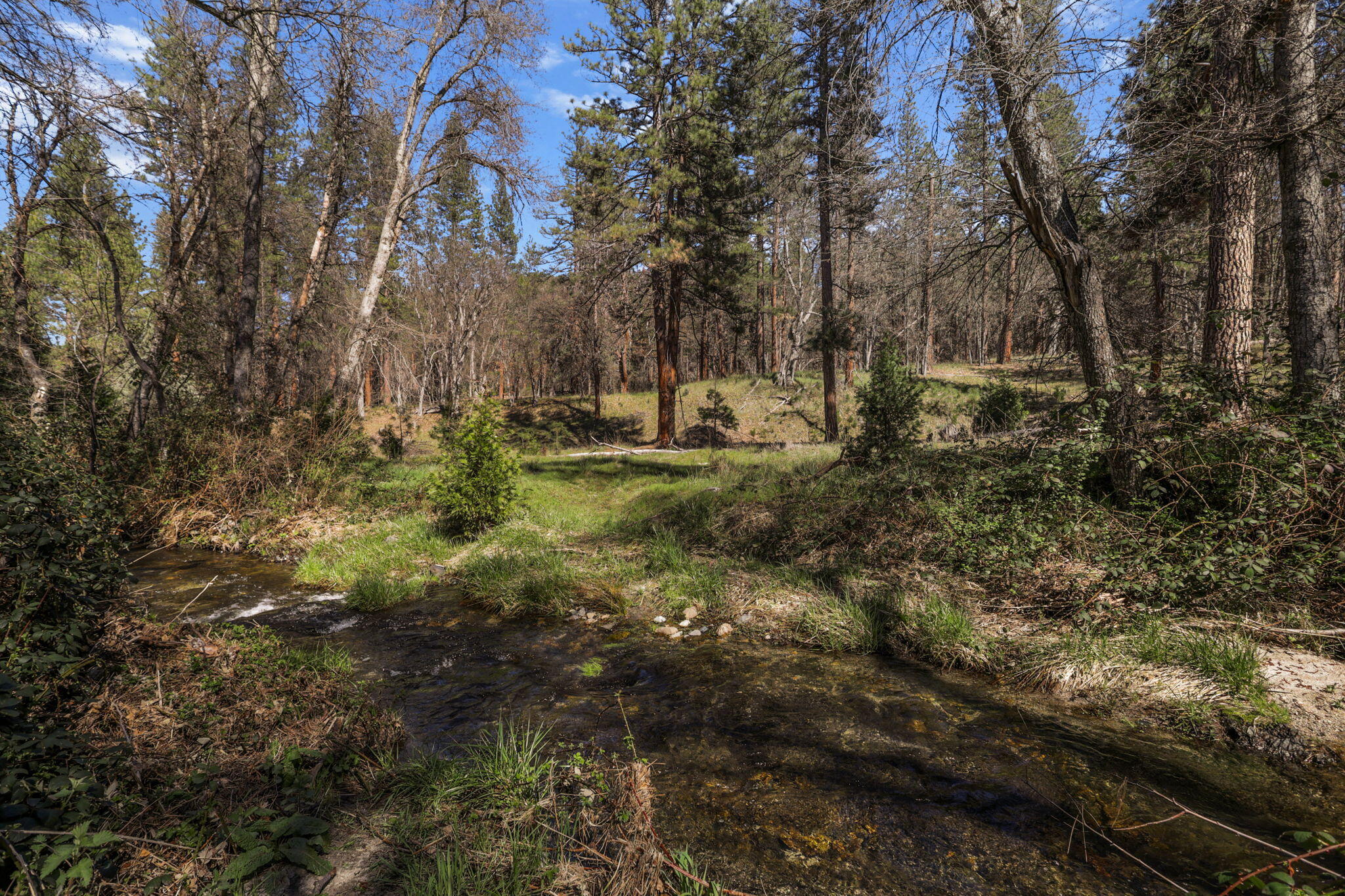 7530 Miners Creek Road Etna, CA 96027 - Photo 100 of 122 99-web-or-mls-LZ0A0707