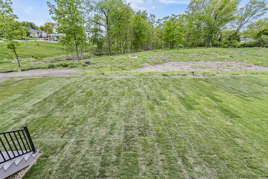 1108 Walter Street Lemont, IL 60439 - Photo 4 of 30