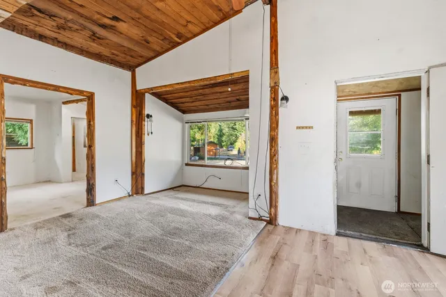 a view of a yard with plants and trees