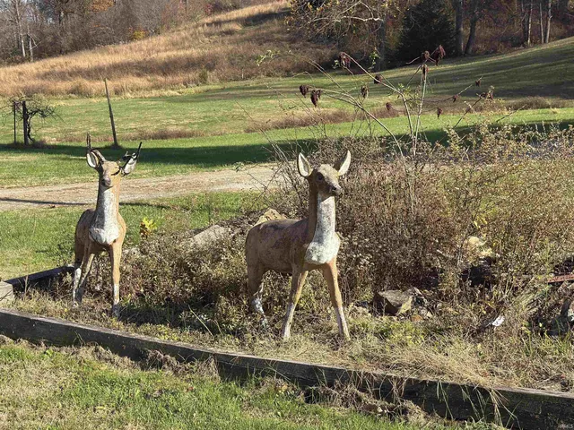 $250,000 | 4307 South Owensburg Road, Springville, IN 47462