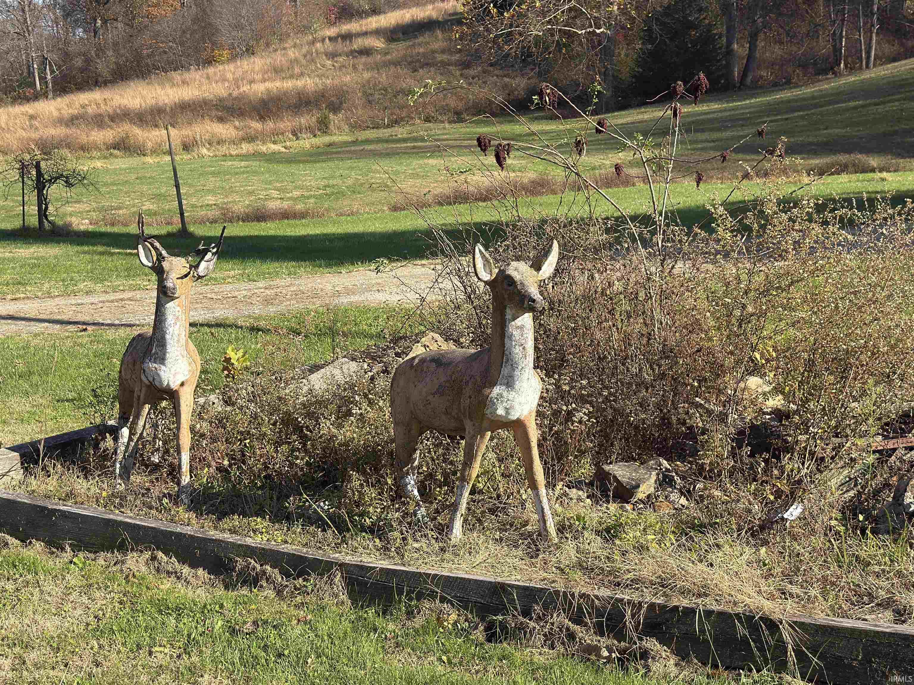 4307 South Owensburg Road Springville, IN 47462 - Photo 34 of 34