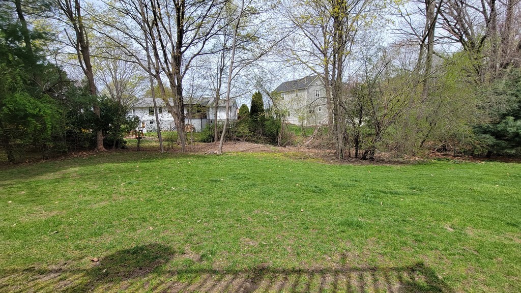 185 Evelyn Road Needham, MA 02494 - Photo 22 of 23