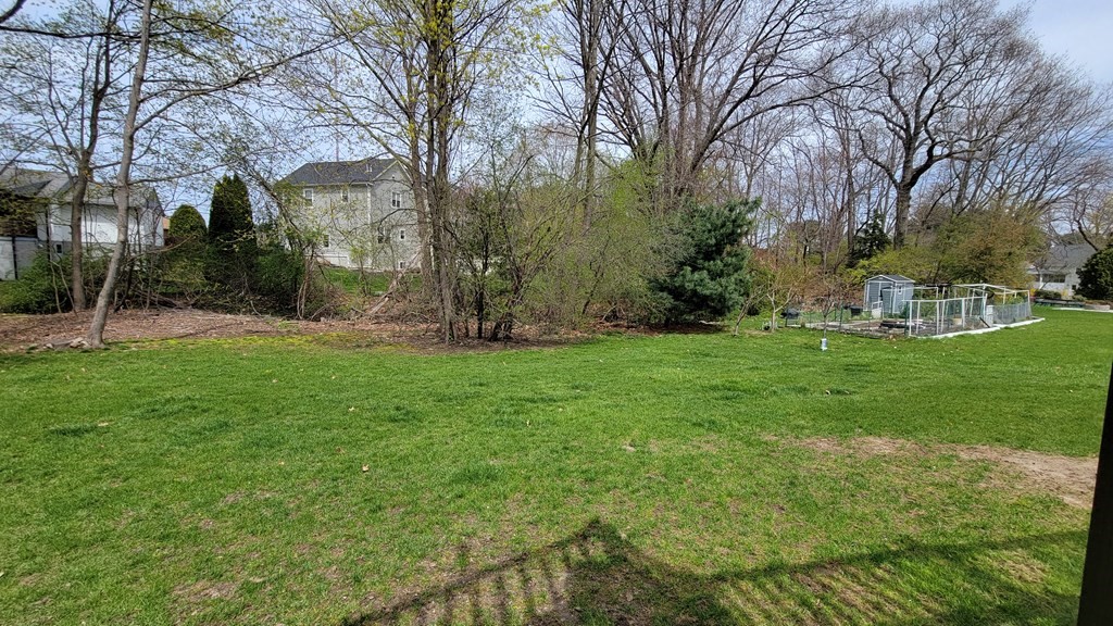 185 Evelyn Road Needham, MA 02494 - Photo 23 of 23 a view of a park with large trees