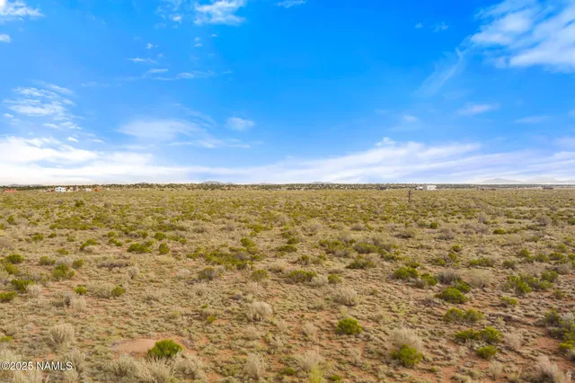 an aerial view of residential houses with city view