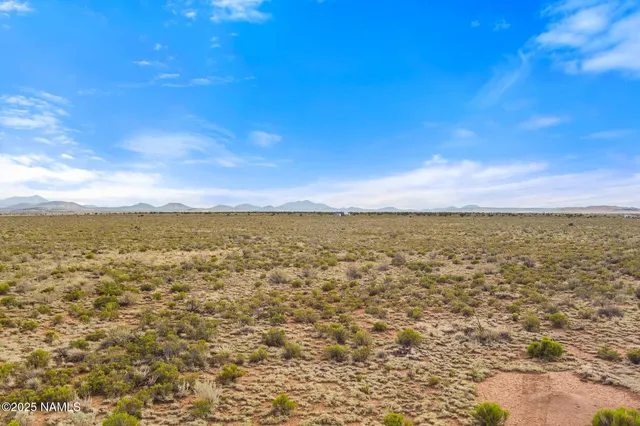 a view of a sky from a yard