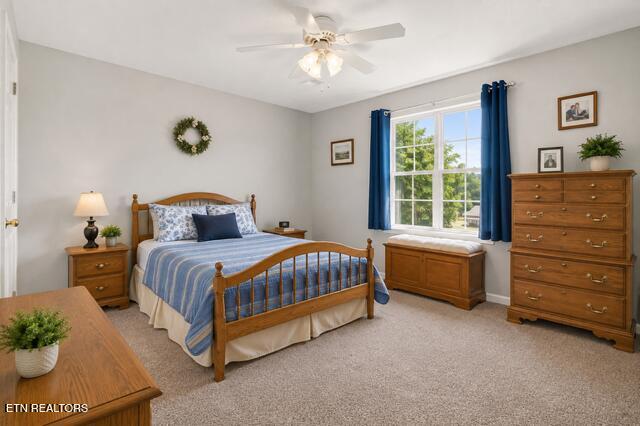 1324 Prairie Place Greenback, TN 37742 - Photo 22 of 38 Primary Bedroom