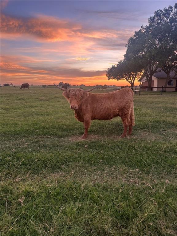 347 Howe Hill Road Lorena, TX 76655 - Photo 32 of 38 a view of an outdoor space and a yard