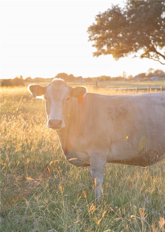 347 Howe Hill Road Lorena, TX 76655 - Photo 33 of 38 a view of an ocean and a mountain