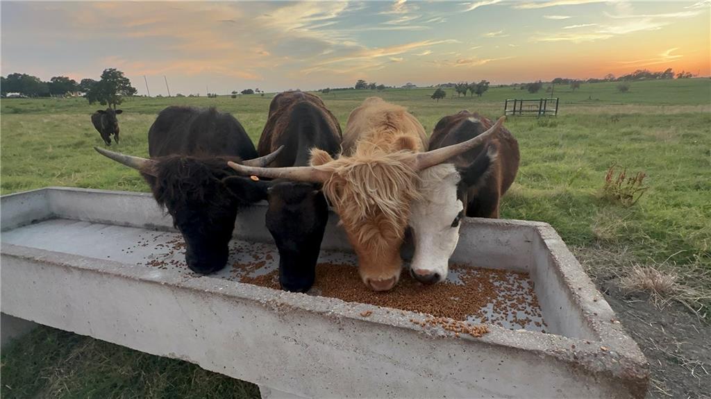 347 Howe Hill Road Lorena, TX 76655 - Photo 35 of 38 a view of a couches in the roof deck