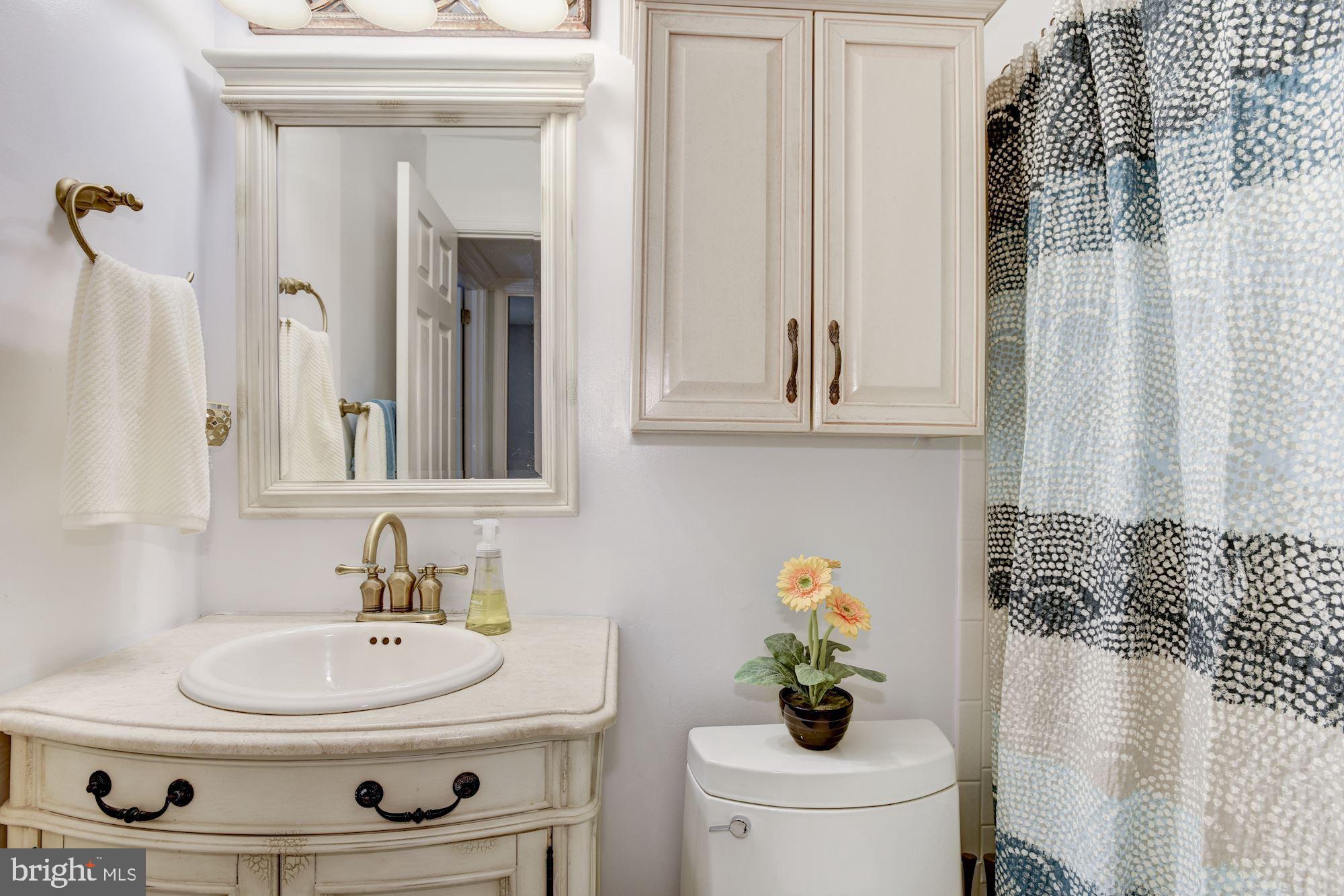 305 South Irving Road Sterling, VA 20164 - Photo 27 of 37 Hall Bath