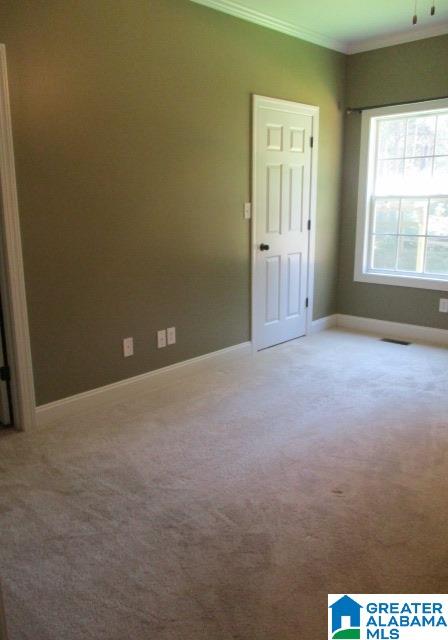 48659 Highway 231 Oneonta, AL 35121 - Photo 9 of 38