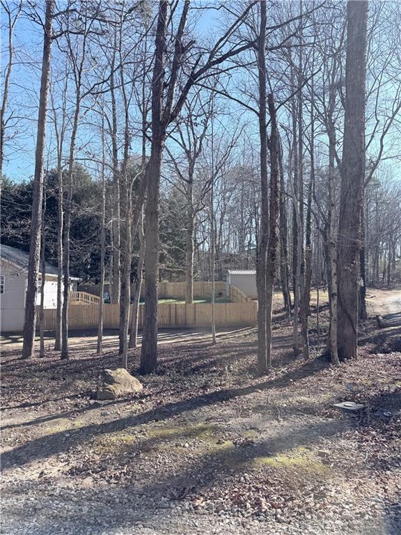 218 Eden Woods Clarkesville, GA 30523 - Photo 26 of 35 a backyard of a house with lots of green space