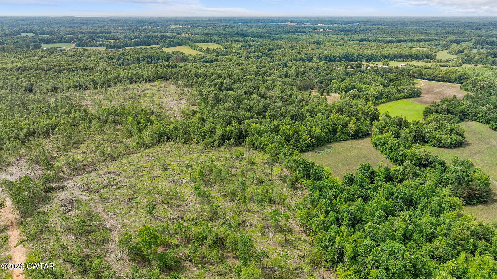 0 Wynn Road Big Sandy, TN 38221 - Photo 24 of 28 22-web-or-mls-DJI_0078