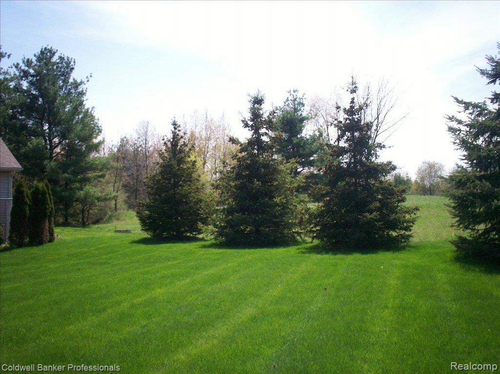 3515 Lippincott Road Lapeer, MI 48446 - Photo 9 of 12 Yard View