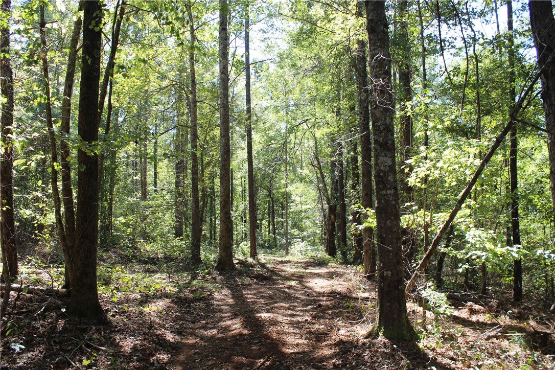 0 East Mill Road Goodwater, AL 35072 - Photo 1 of 11 Gallery Image 1