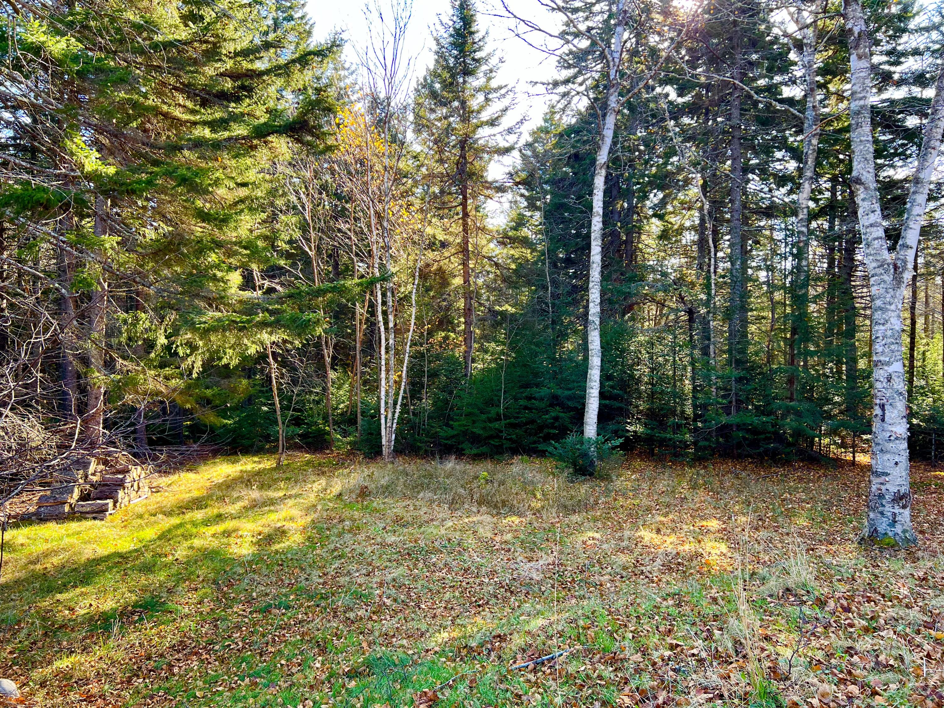56 Dodge Point Road Tremont, ME 04612 - Photo 17 of 26 Land