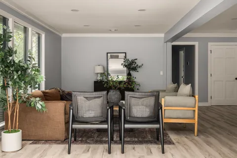 a living room with furniture and a potted plant
