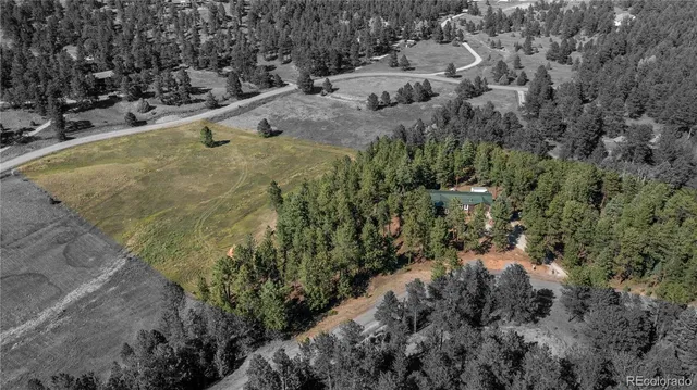 a view of a yard with plants and trees