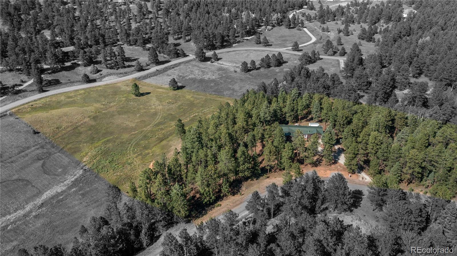 20065 Spring Creek Road Buffalo Creek, CO 80425 - Photo 6 of 41 a view of a yard with plants and trees