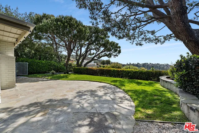a view of a backyard with large tree