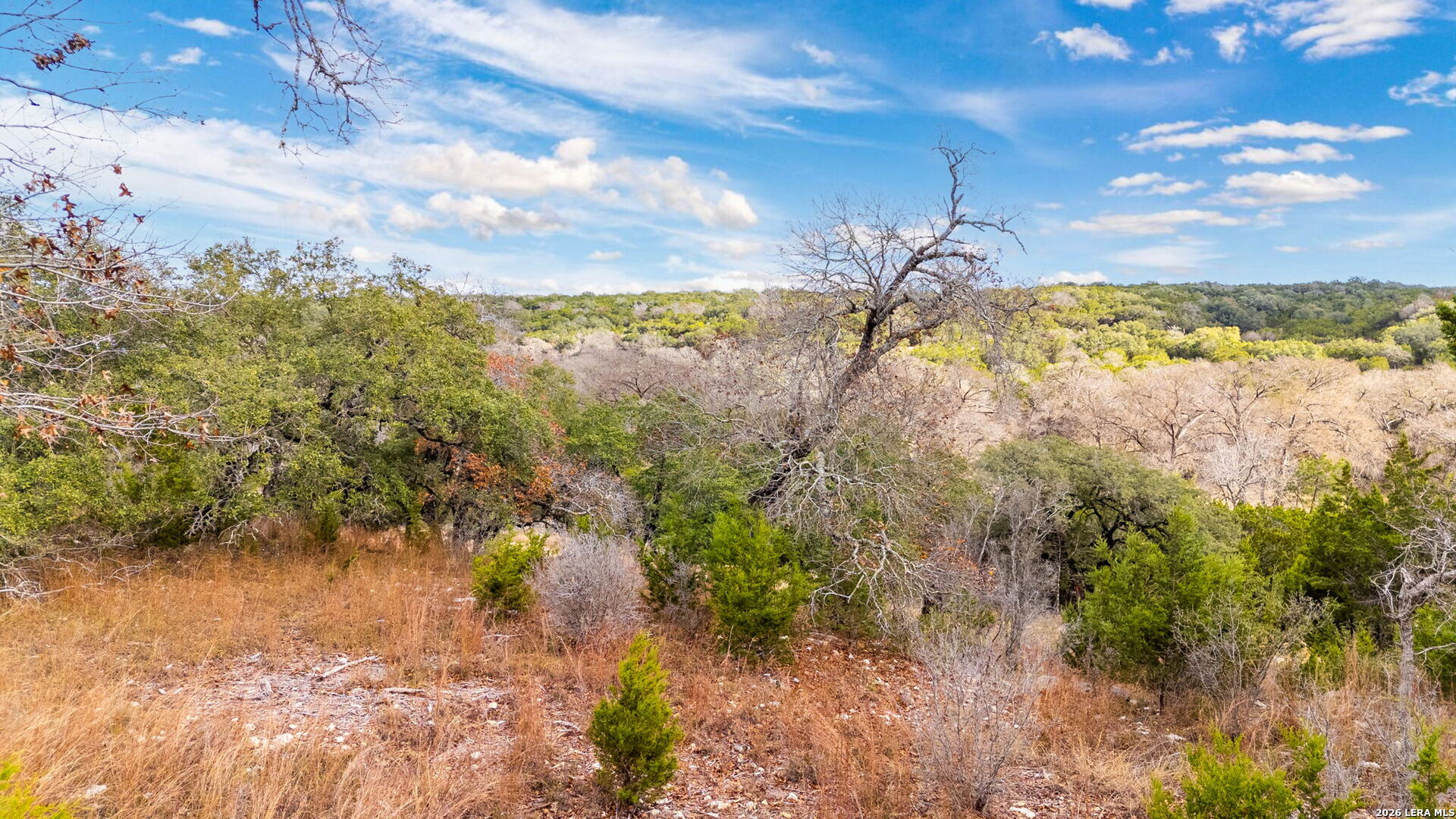 Lot 12 Landmark Ridge Bergheim, TX 78004 - Photo 13 of 16