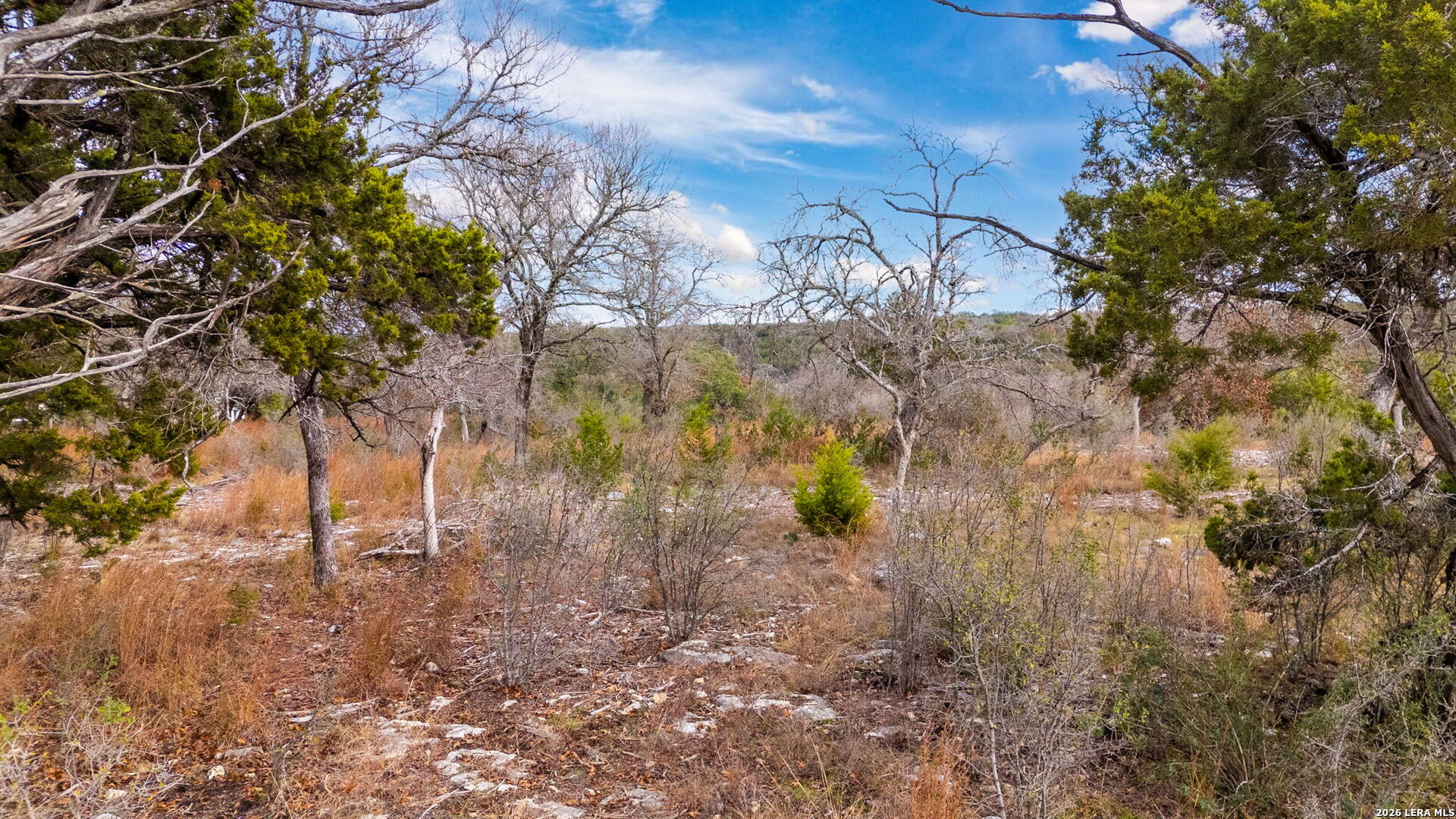 Lot 12 Landmark Ridge Bergheim, TX 78004 - Photo 8 of 16