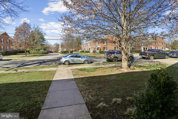 a view of yard with large trees