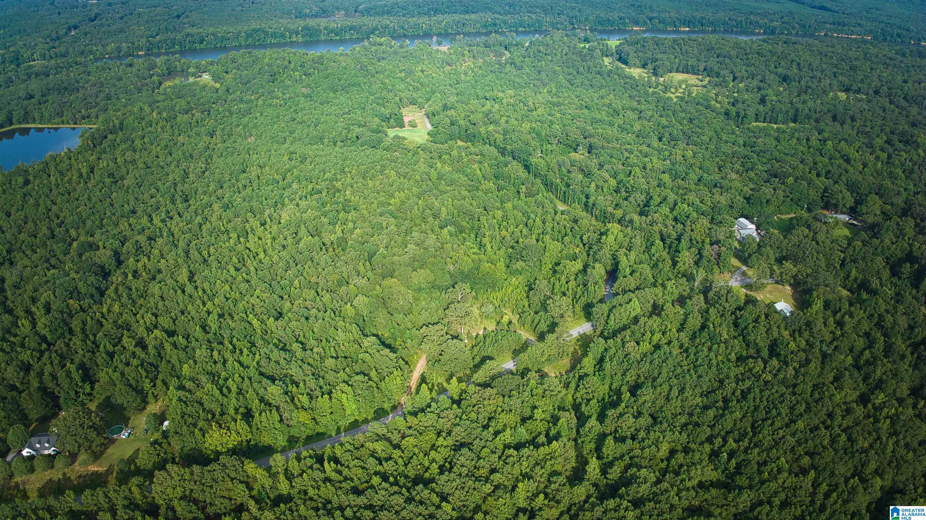 Lot 20 Wester Road, Unit LOT 20 Ragland, AL 35131 - Photo 41 of 68