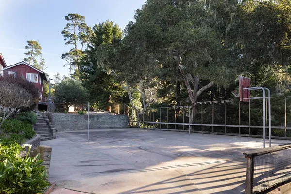 a view of a backyard