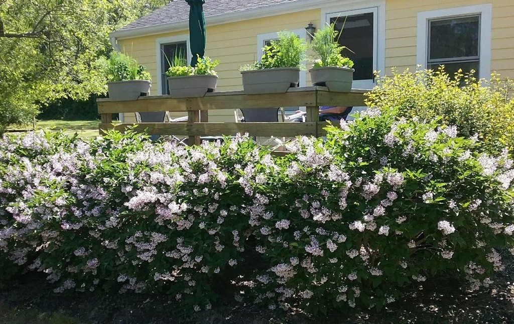 74 Hay Road, Unit 74 Eastham, MA 02642 - Photo 1 of 21 a front view of a house with a yard