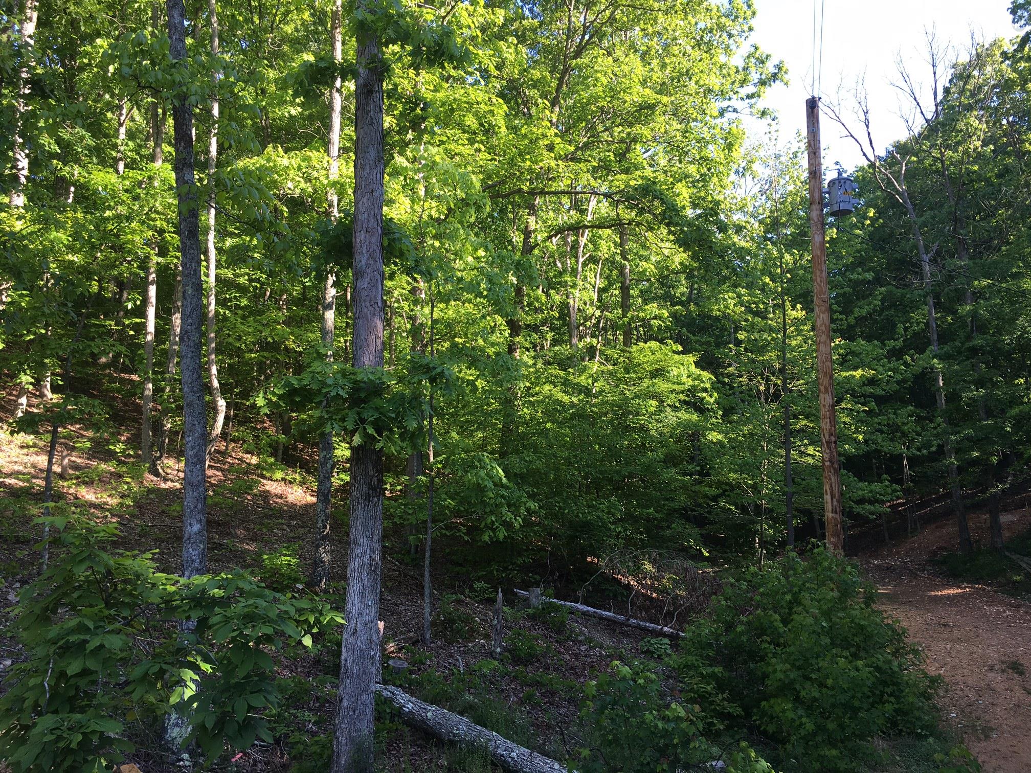 0 Haylee Road Waverly, TN 37185 - Photo 1 of 2 a view of outdoor space and garden