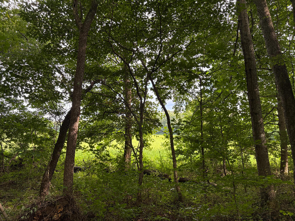 Tbd Forge Mill Road Clay City, KY 40312 - Photo 26 of 43 25