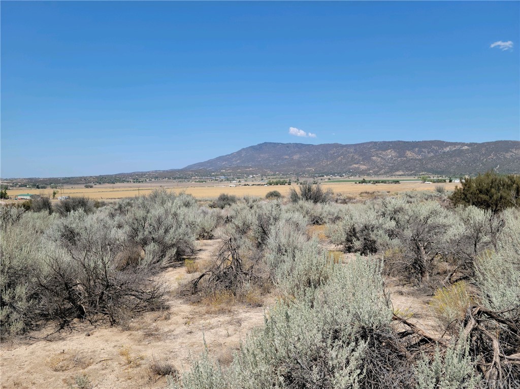 39850 Rambling Hills Road Anza, CA 92539 - Photo 1 of 1 a view of mountain with lake view