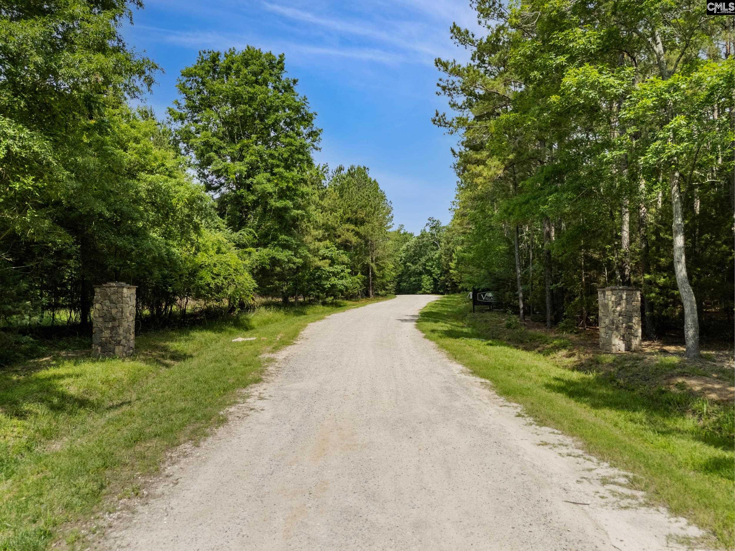 660 Clipper Trail Chapin, SC 29036 - Photo 5 of 13 Gallery Image 5
