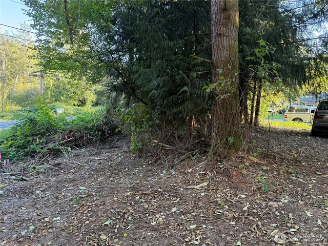 $39,900 | 0 Rainbow Drive, Sedro-Woolley, WA 98284