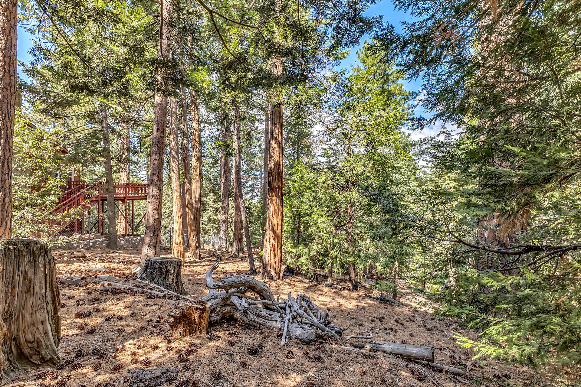 52680 Pine Ridge Road Idyllwild, CA 92549 - Photo 9 of 90 IMG_0135