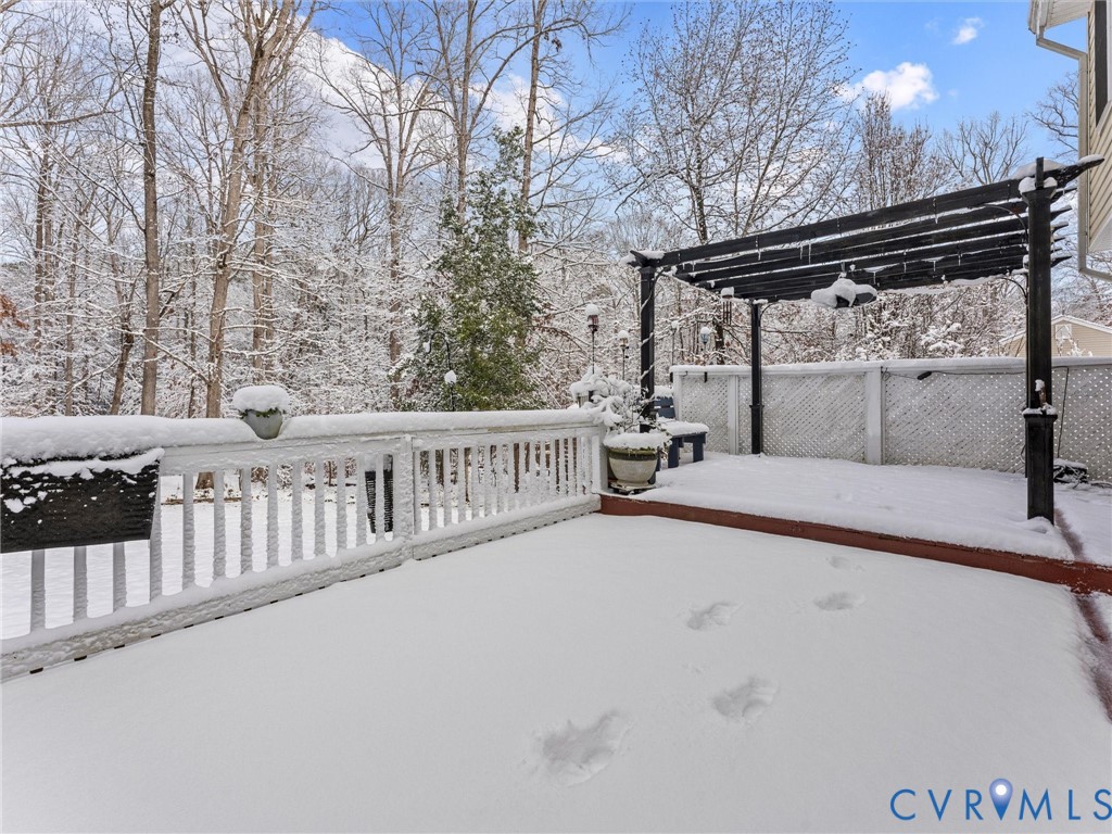 11718 Corte Castle Road Chesterfield, VA 23838 - Photo 45 of 50 View of snow covered deck