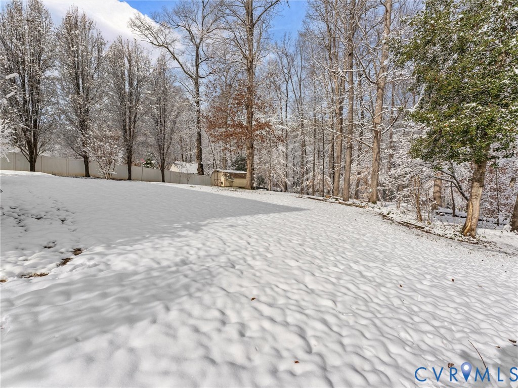 11718 Corte Castle Road Chesterfield, VA 23838 - Photo 6 of 50 View of yard layered in snow