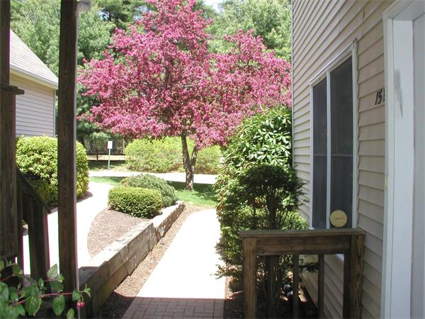 15 Castlegate Drive, Unit B Springfield, MA 01129 - Photo 1 of 30 Gallery Image 1