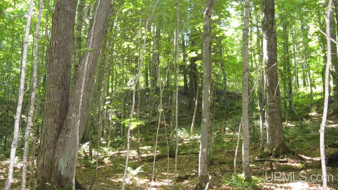 0 Big Bay Road Negaunee, MI 49866 - Photo 2 of 13