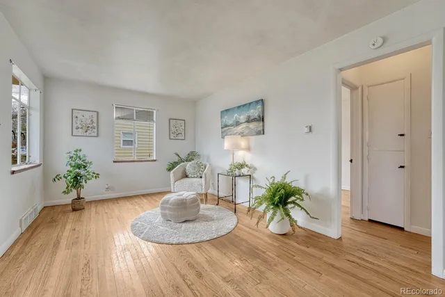 a living room with furniture and a potted plant