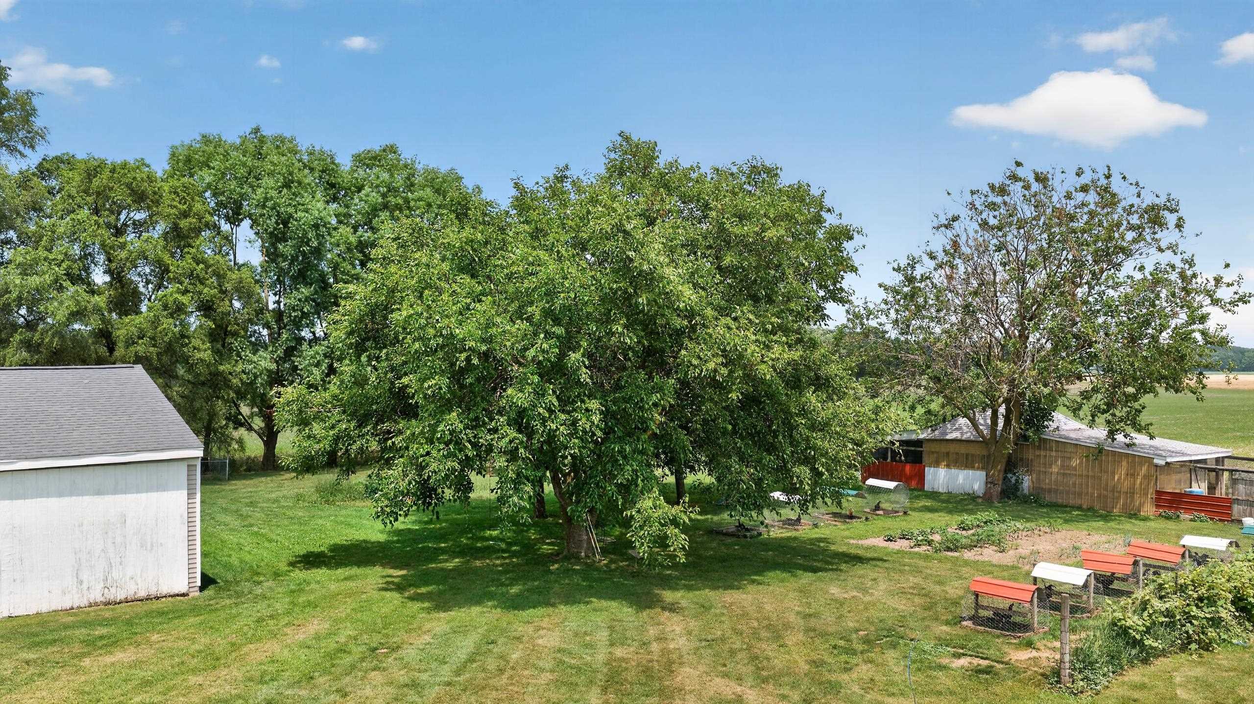 4395 South Grove Road St. Johns, MI 48879 - Photo 69 of 84
