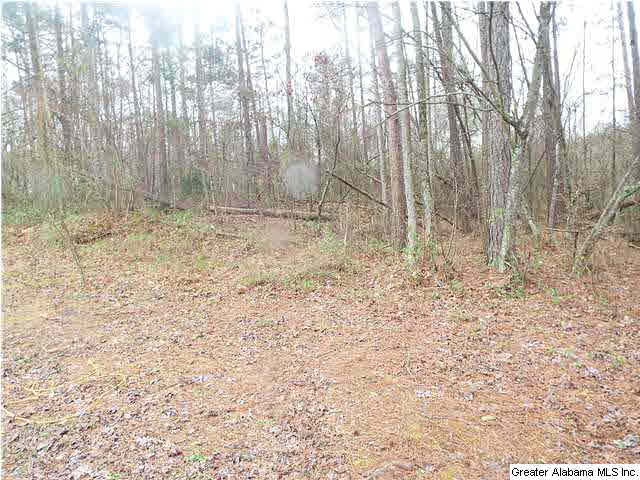 448 Reid Road, Unit 1 Oneonta, AL 35121 - Photo 7 of 8