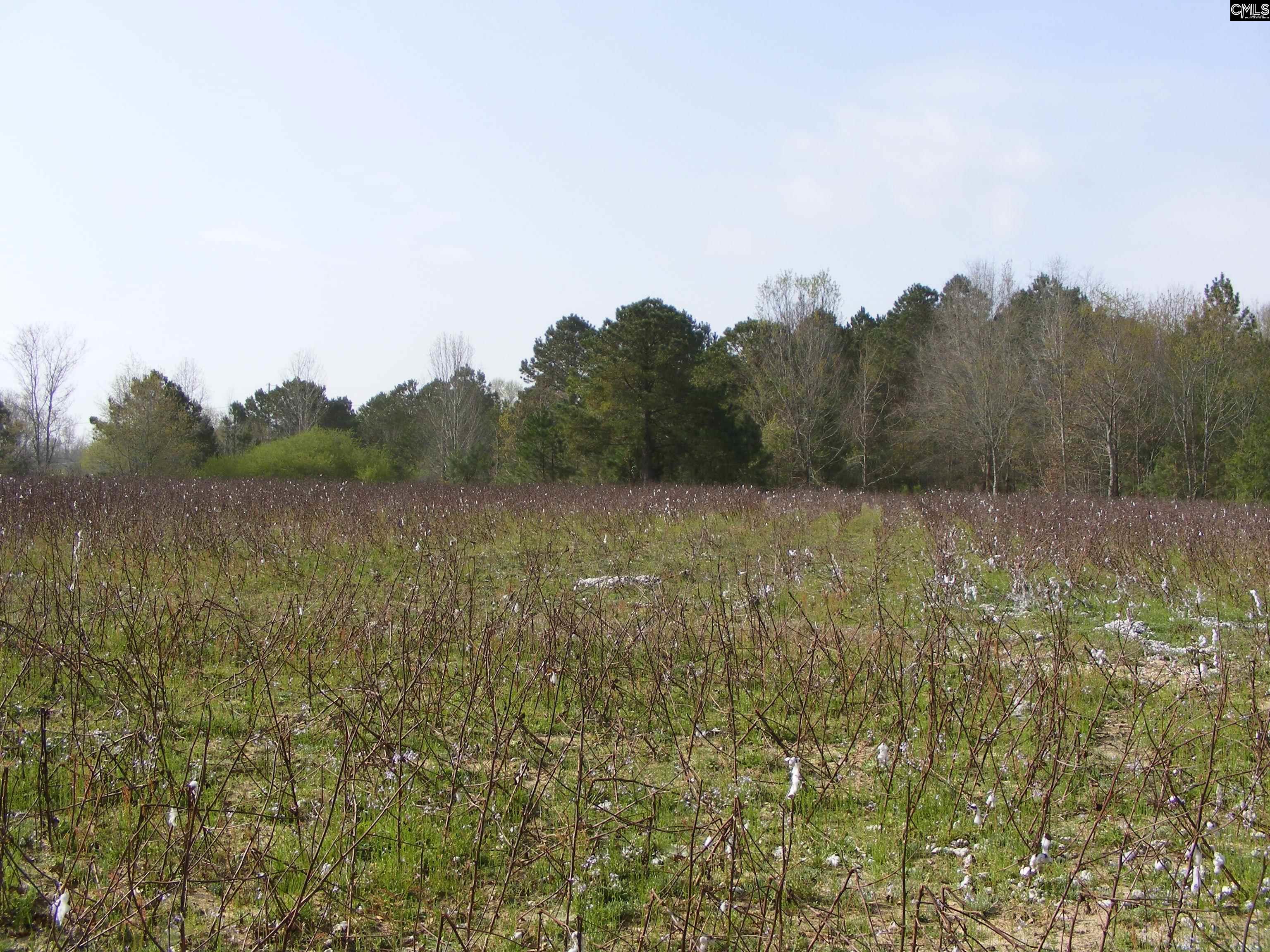 0 Dr Boylston Road Salley, SC 29137 - Photo 11 of 41