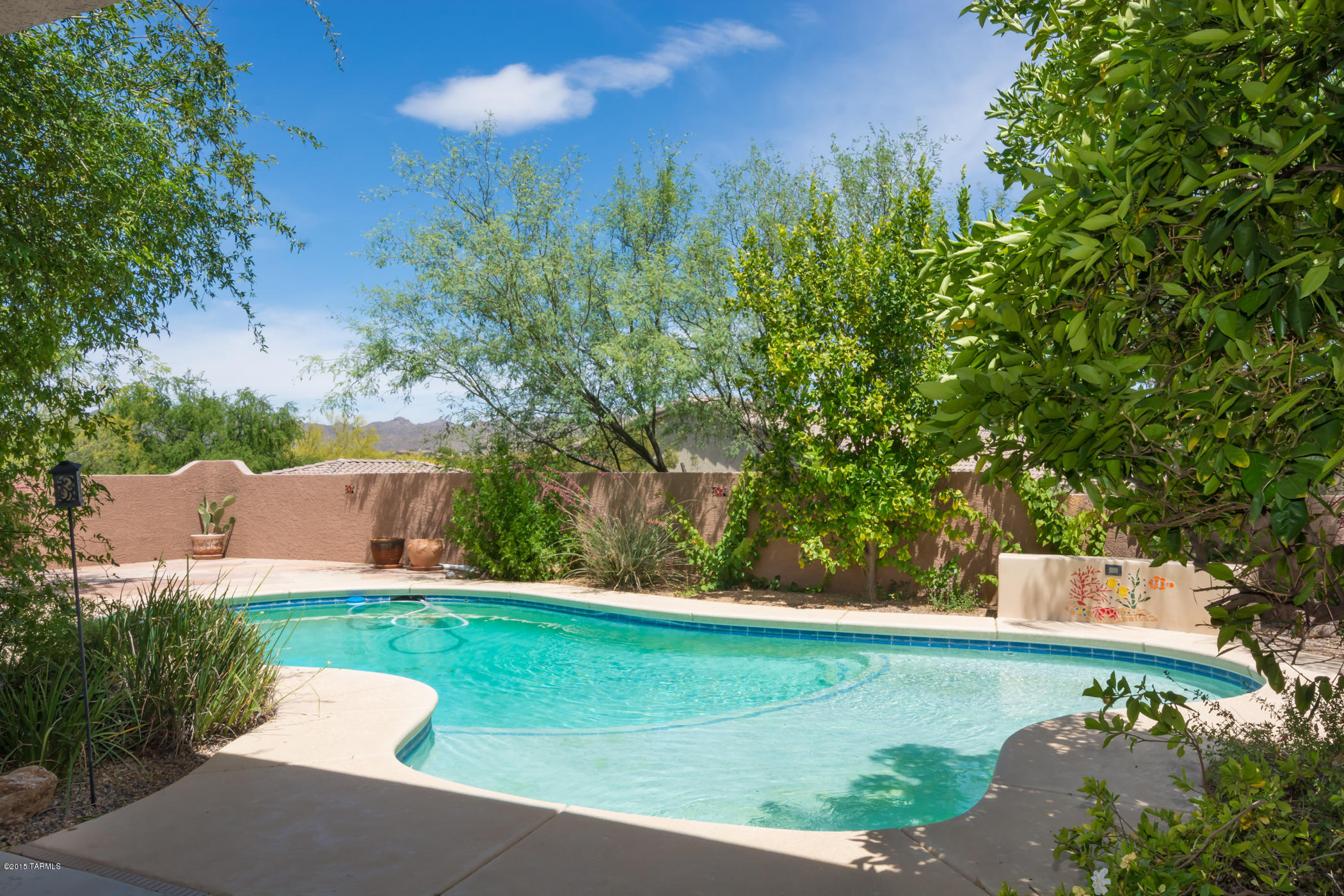 12679 North Spirit Mountain Road Tucson, AZ 85755 - Photo 30 of 43