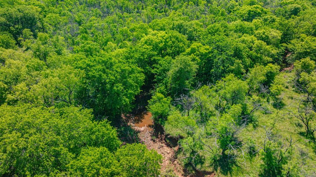 0 Troy Davis Road Olney, TX 76374 - Photo 15 of 37 a view of a lush green forest with lots of trees