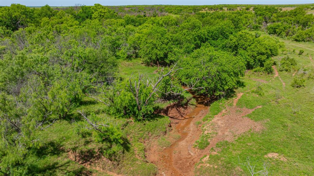 0 Troy Davis Road Olney, TX 76374 - Photo 18 of 37 a view of a yard