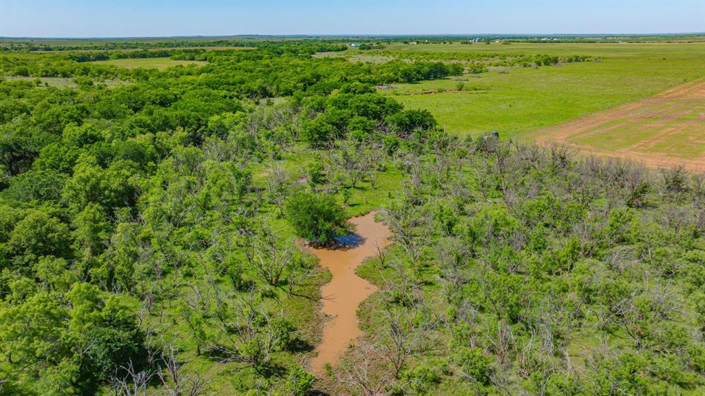 0 Troy Davis Road Olney, TX 76374 - Photo 30 of 37 a view of a garden with an ocean